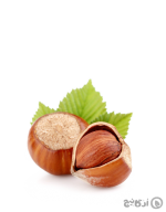 فندق