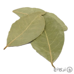 برگ به