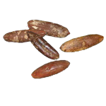 هسته خرما