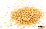 کنجد