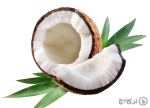 نارگیل