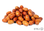 سنجد