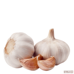 سیر