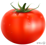 گوجه فرنگی