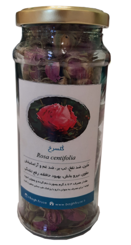 گلسرخ باغ فیروزه 100 گرمی