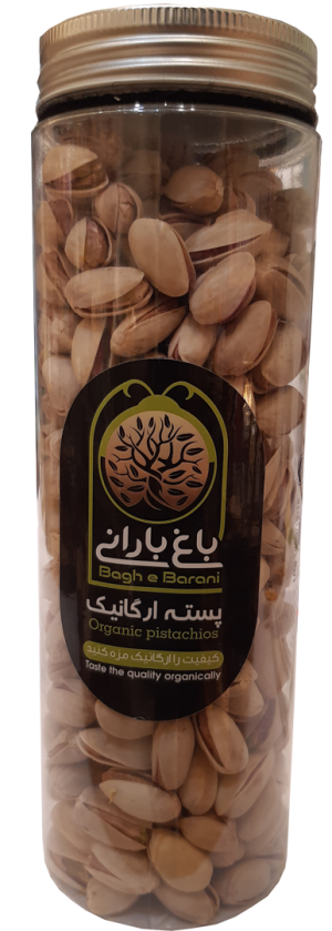 پسته ارگانیک باغ بارانی 500 گرمی
