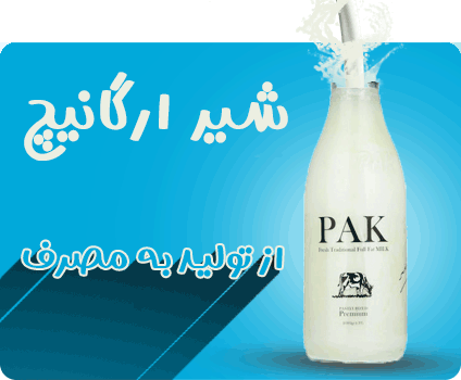 شیر ارگانیچ